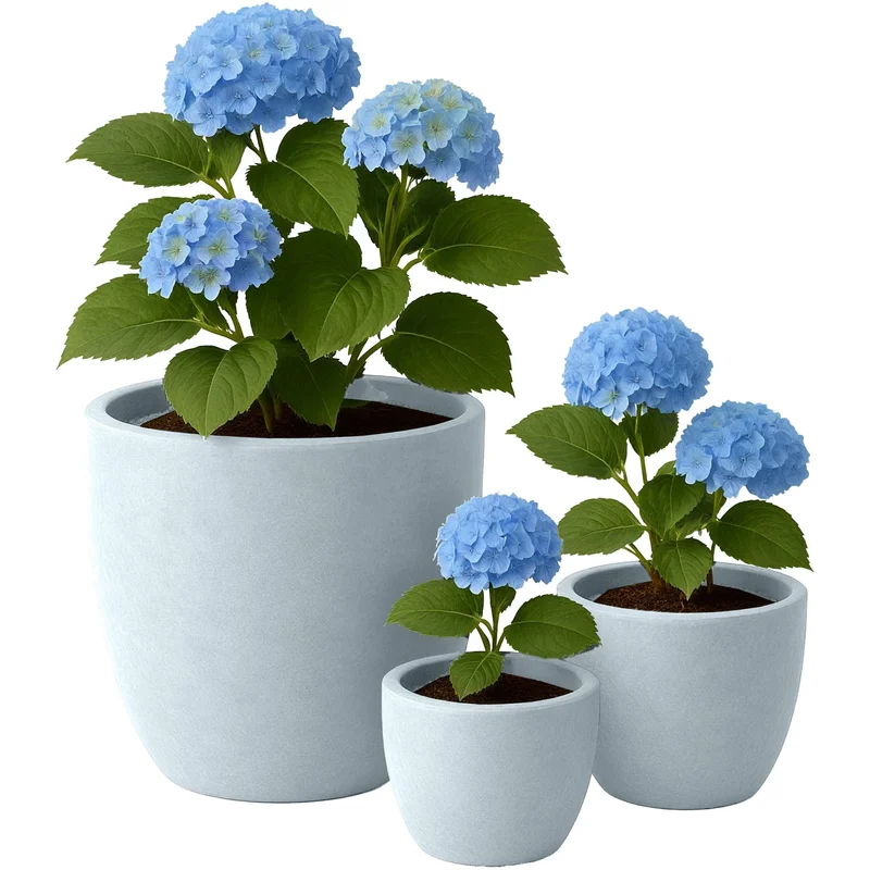 kotikauppa-2202609130858511650181