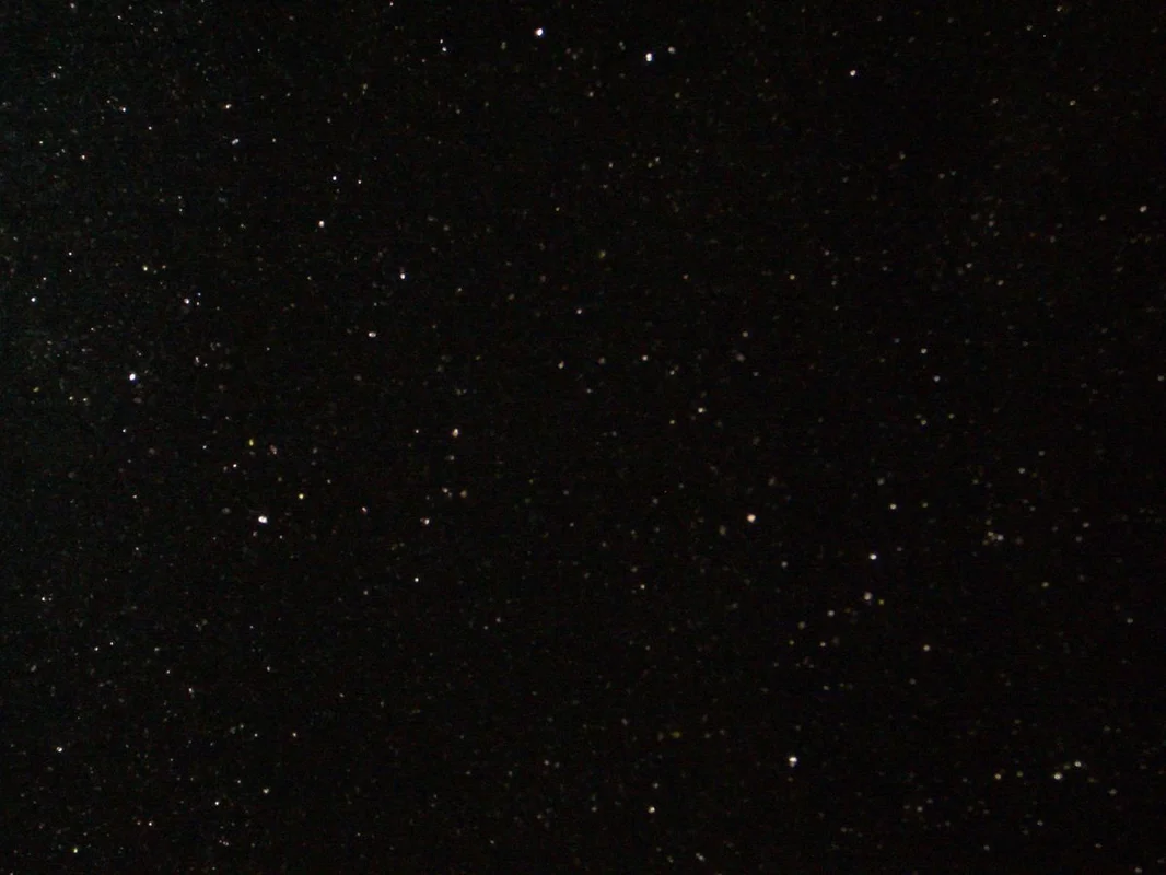 netrauta-1202609141432421953745