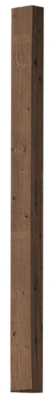 netrauta-1202609161006352179581