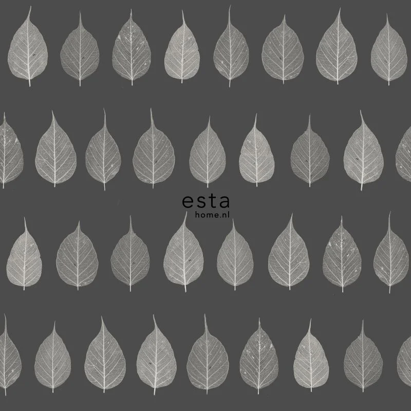 netrauta-1202609180318542466002