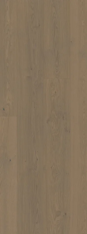 netrauta-2202609140904211920850