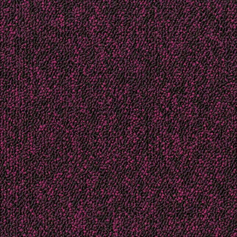 netrauta-2202609150850522073606