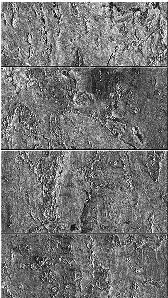 netrauta-2202609170945292328595