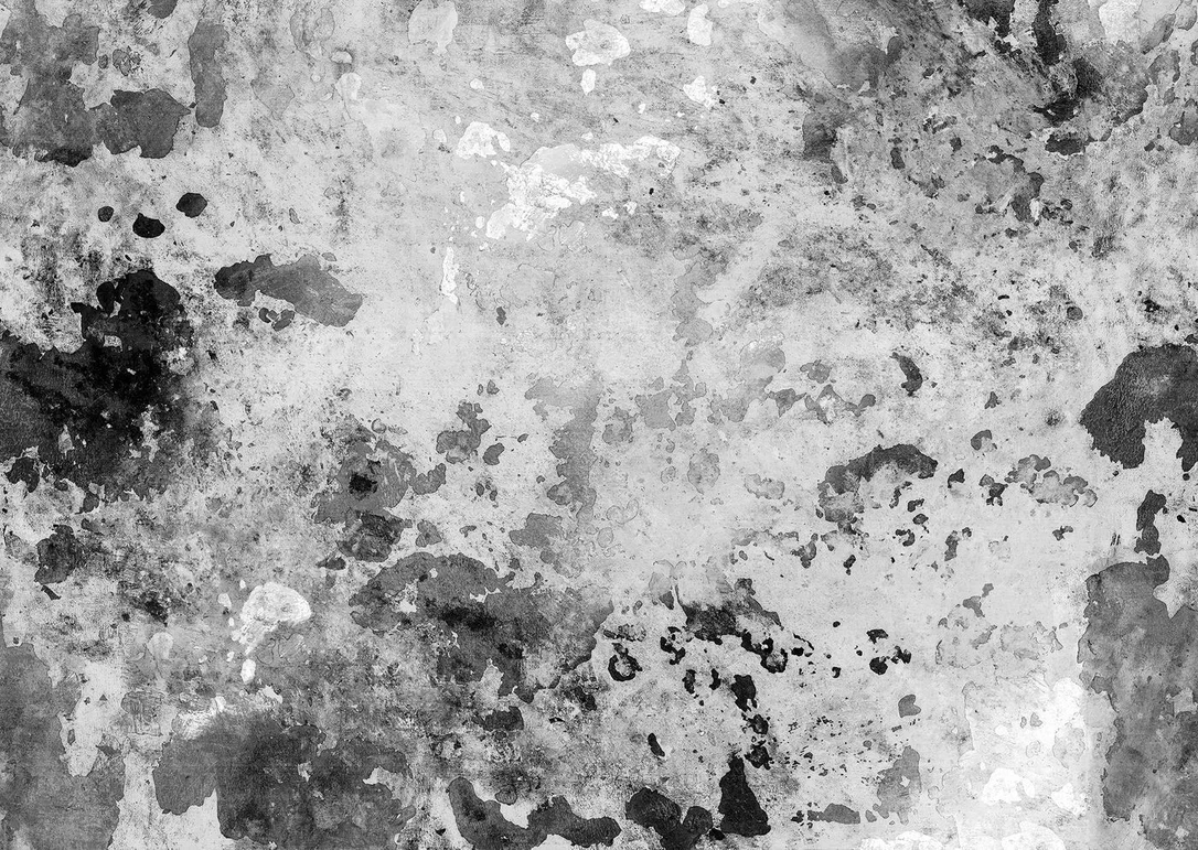 netrauta-2202609181431262552841
