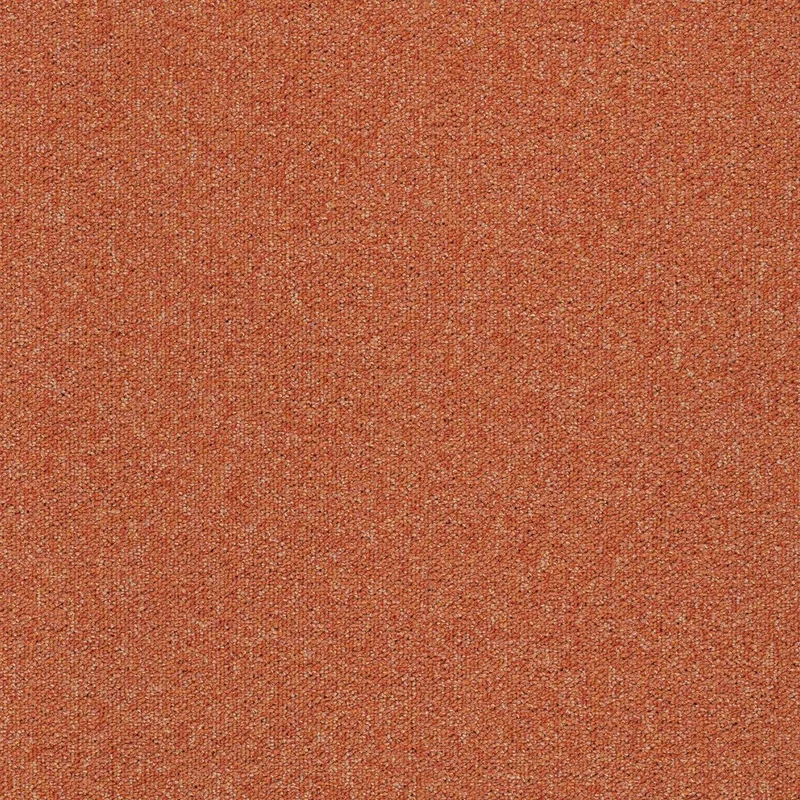 netrauta-2202609201553323001392