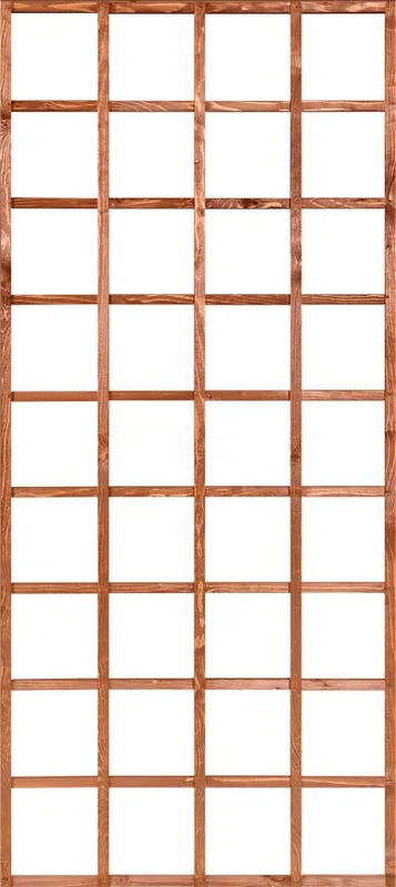netrauta-3202609142212092007523
