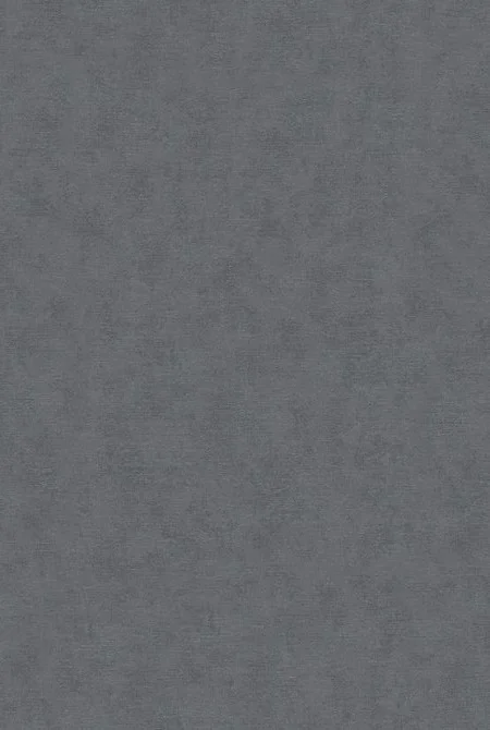 netrauta-3202609150042072023954