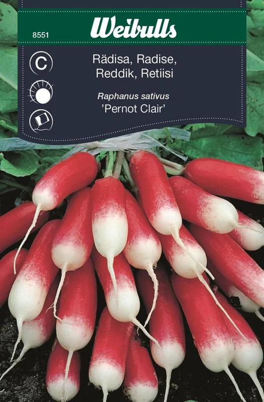 netrauta-3202609181759282583019