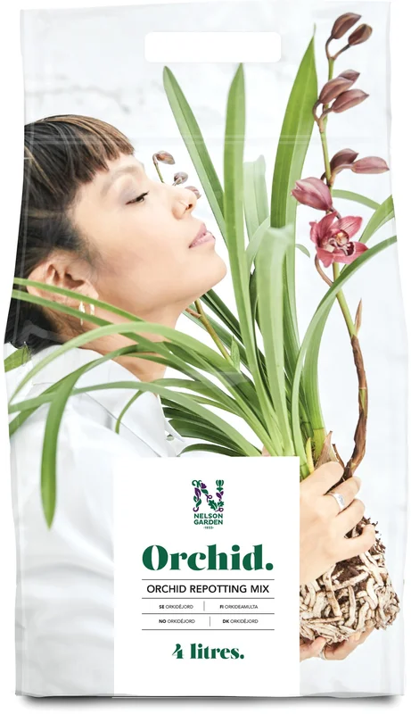 netrauta-3202609191755162781070