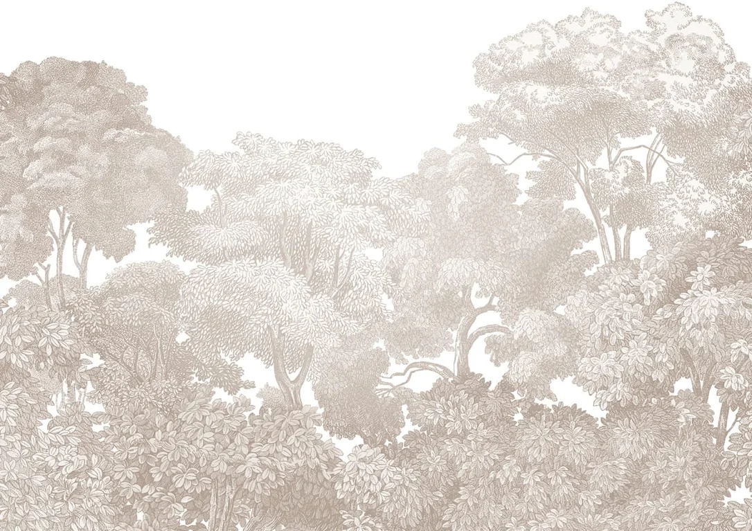 netrauta-4202609181414542551293