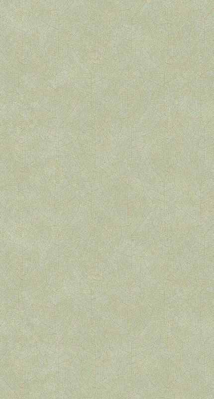 netrauta-4202609181551102560493