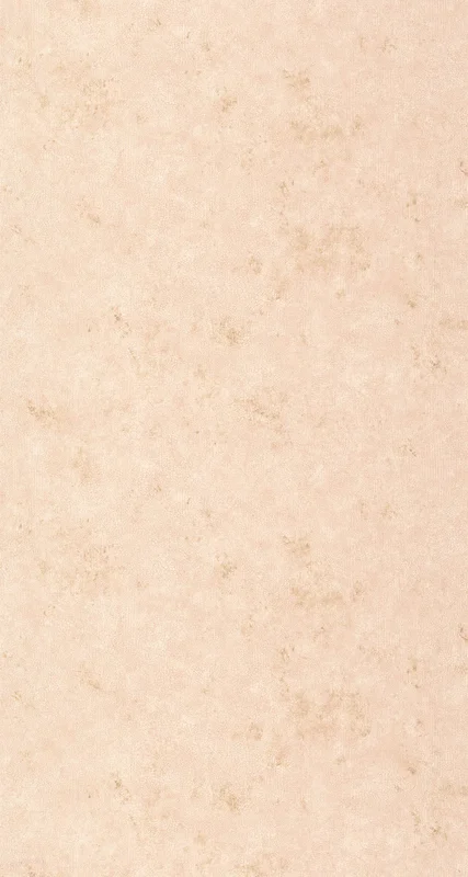 netrauta-4202609181559592561308